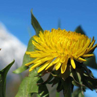 皇冠体育平台截图